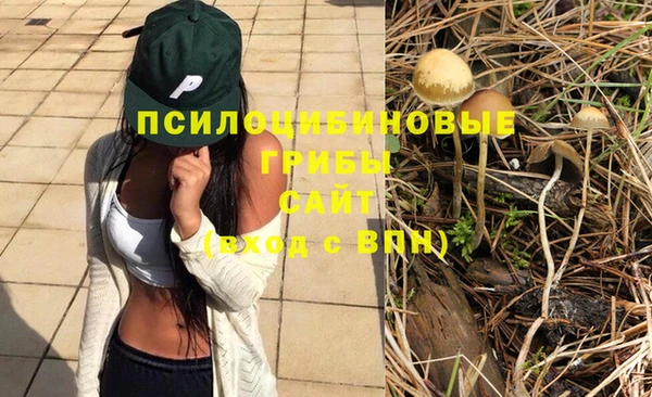 дмт Балахна