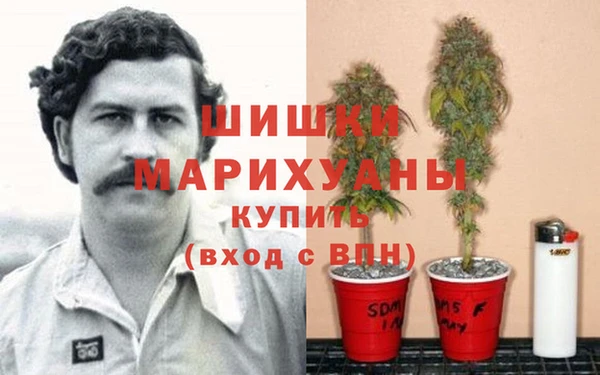 дмт Балахна
