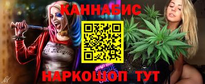 a pvp Бийск