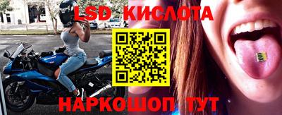 a pvp Бийск