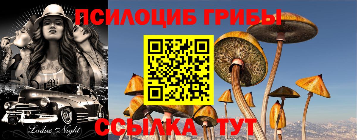 Псилоцибиновые грибы мухоморы Белово